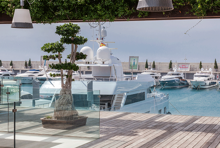 Port Adriano 50m 